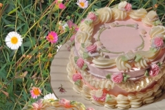 Focení v přírodě